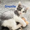Granite