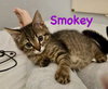 Smokey