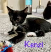 Kenzi