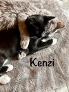 Kenzi - Bonded with Sadie