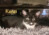 Kenzi - Bonded with Sadie