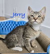 Jerry