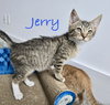 Jerry