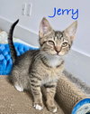 Jerry