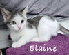 Elaine