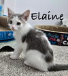 Elaine