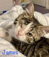 James