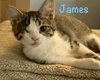 James
