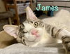 James