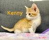 Kenny