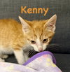 Kenny