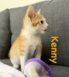 Kenny