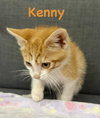 Kenny