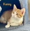 Kenny