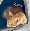 Kenny