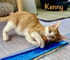 Kenny