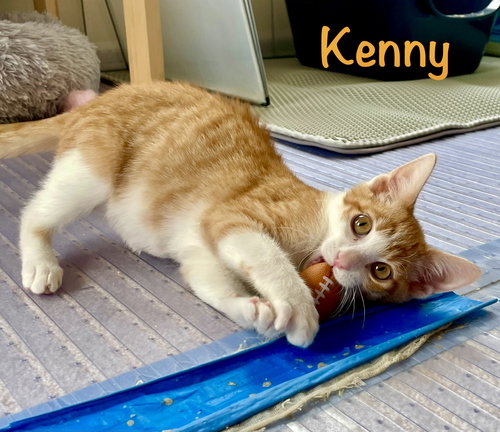 Kenny