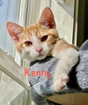 Kenny