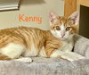 Kenny