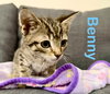 Benny