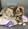 Benny