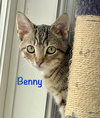 Benny