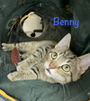 Benny