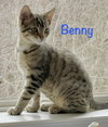 Benny