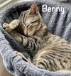 Benny