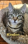Kinder