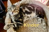 Kinder