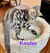 Kinder