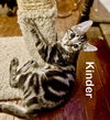 Kinder