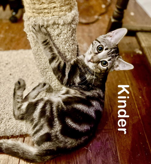 Kinder