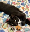 Belinda