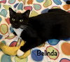 Belinda