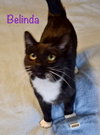 Belinda