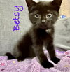 Betsy