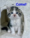 Comet