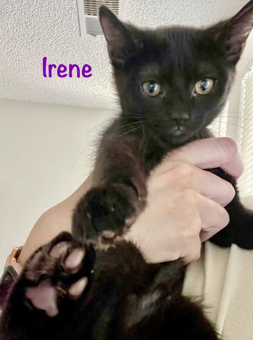 Photo 5 of Irene