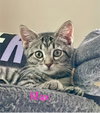 Max
