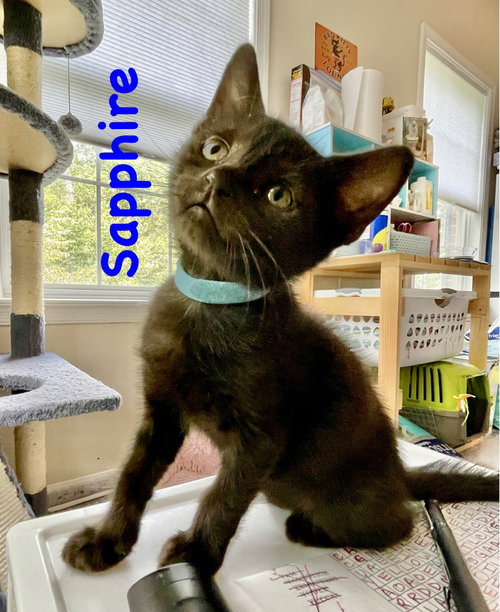 Sapphire