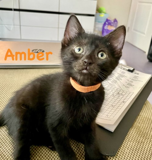 Amber