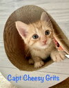 Capt Cheesy Grits