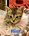 Flint