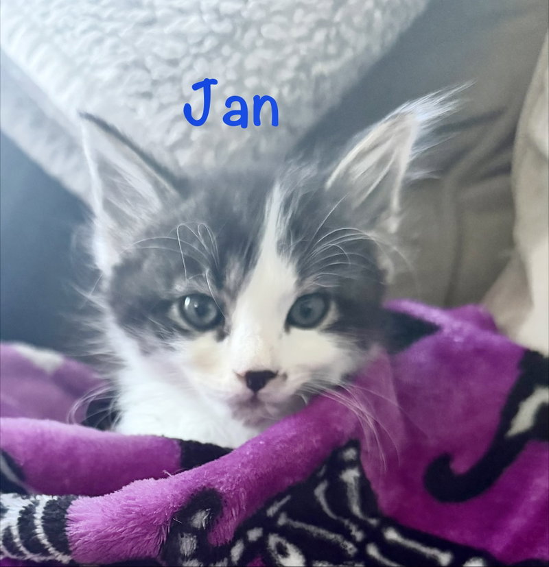 Jan, photo 3