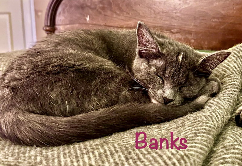 Banks, photo 2