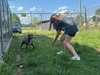 Lily - Photo 4