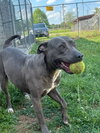 Lily - Photo 7