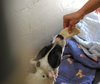 Domino - Photo 9